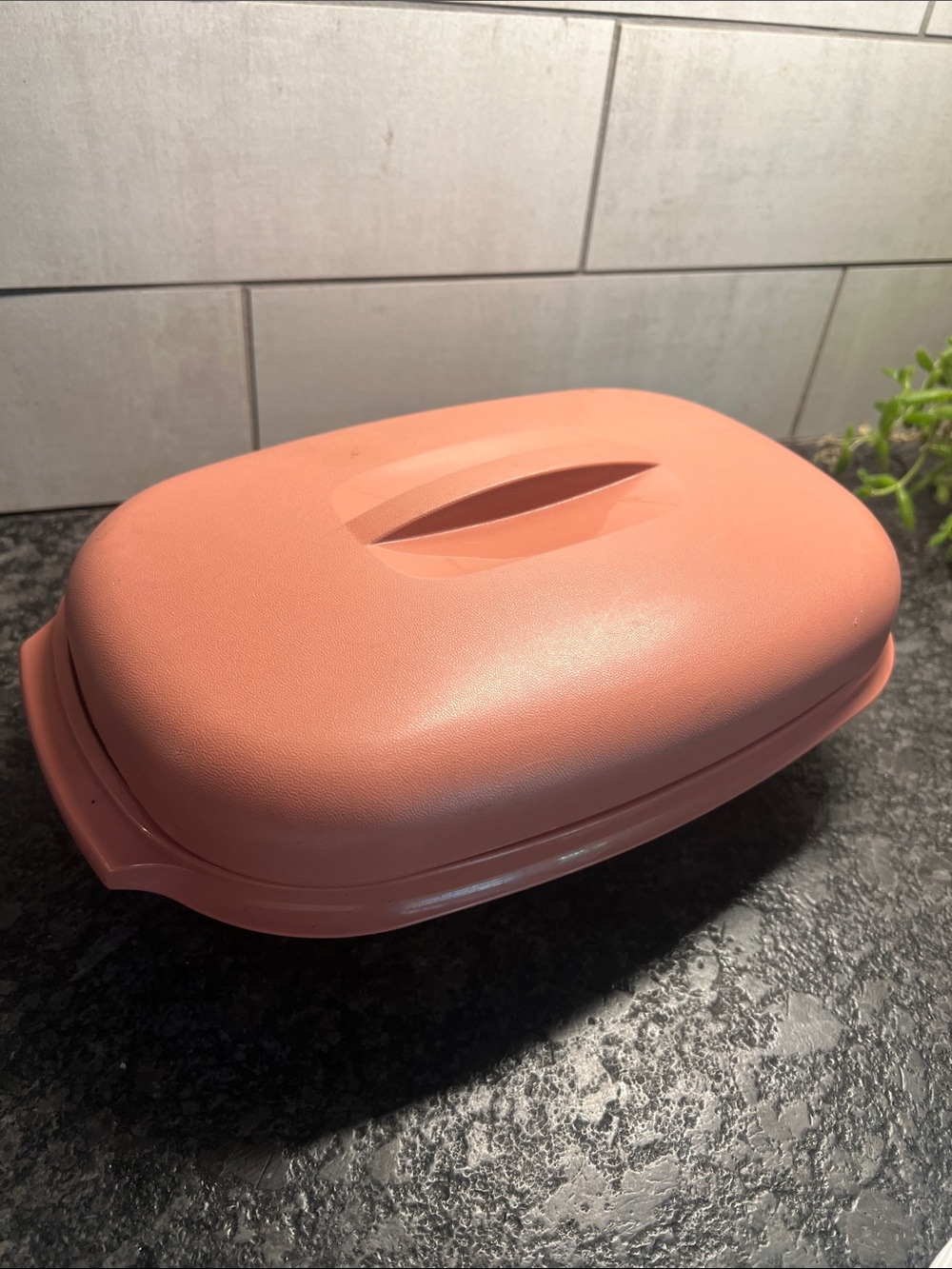 Coral Pink Plastic Steamer Dish with Lid. Like new condition.